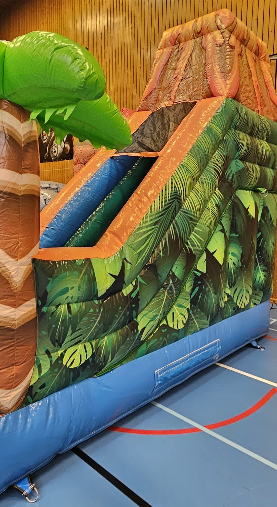 JEUX: Château gonflable 